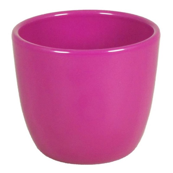 Pot Boule fuchsia D7.5 H6