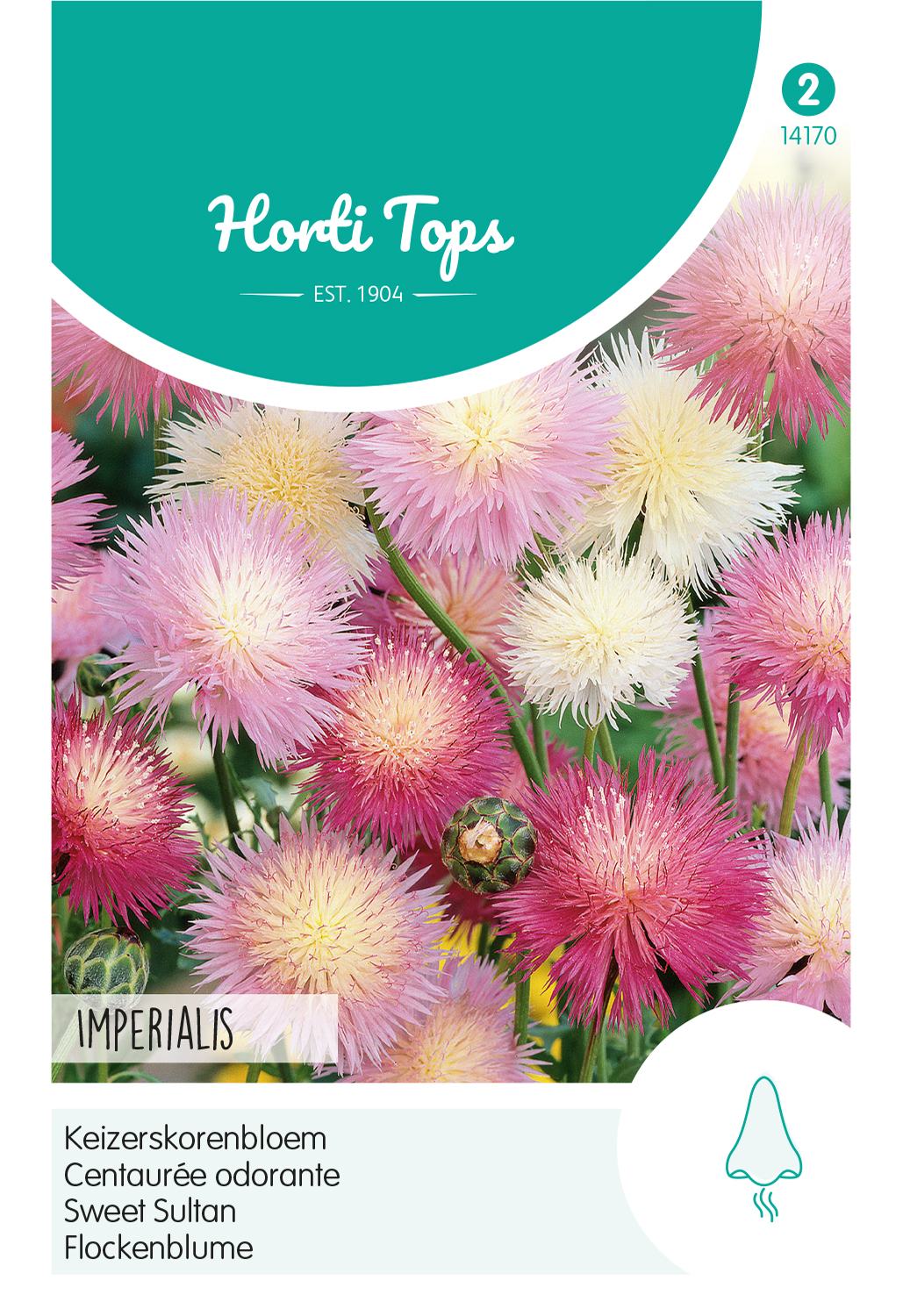 HT Centaurea, Keizerskorenbloem Imperialis gemengd