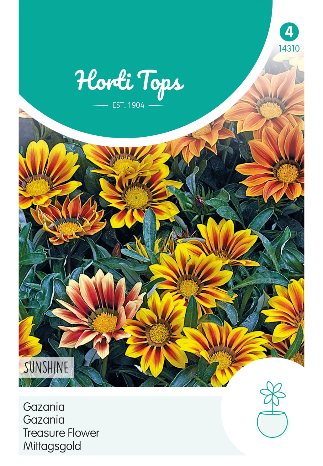 HT Gazania Sunshine gemengd