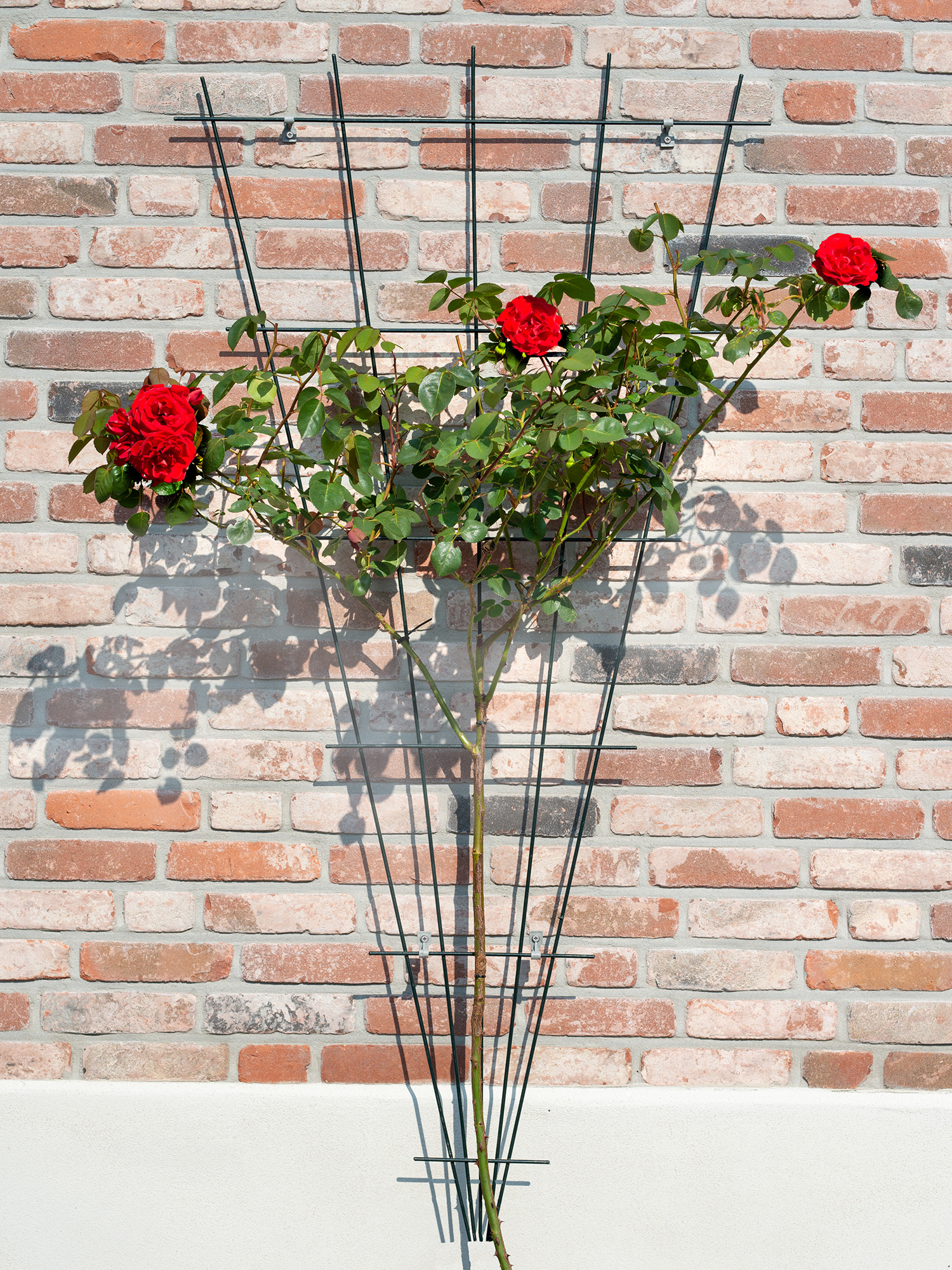 Klimrek metaal B5-75 H150cm grijs