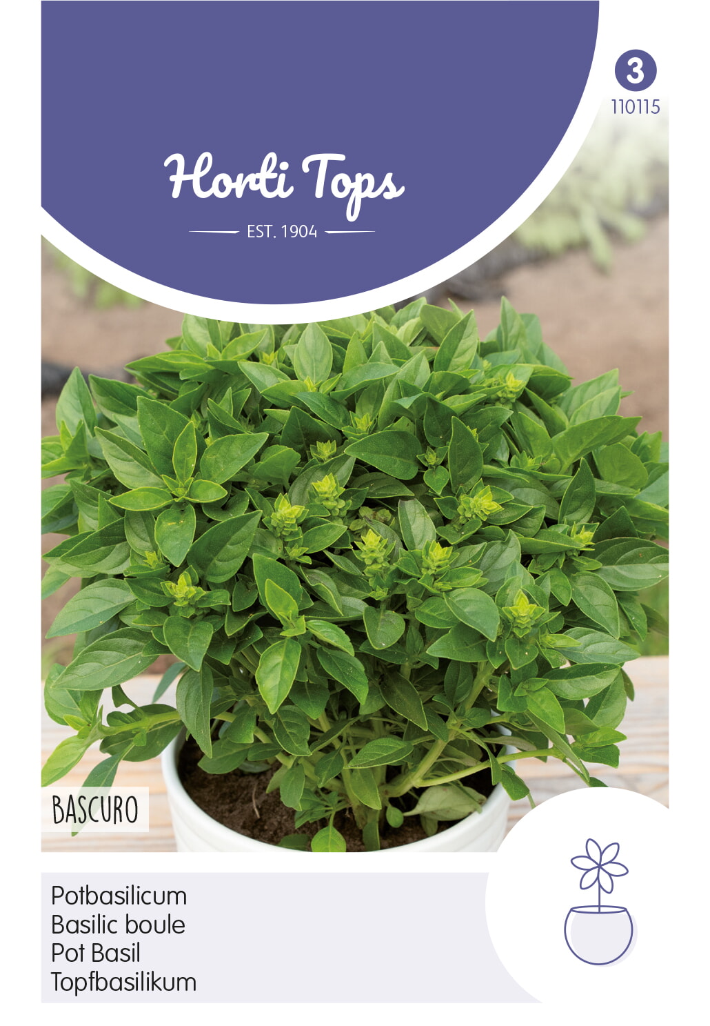 HT Pot-Basilicum Bascuro Griekse Donkergroene
