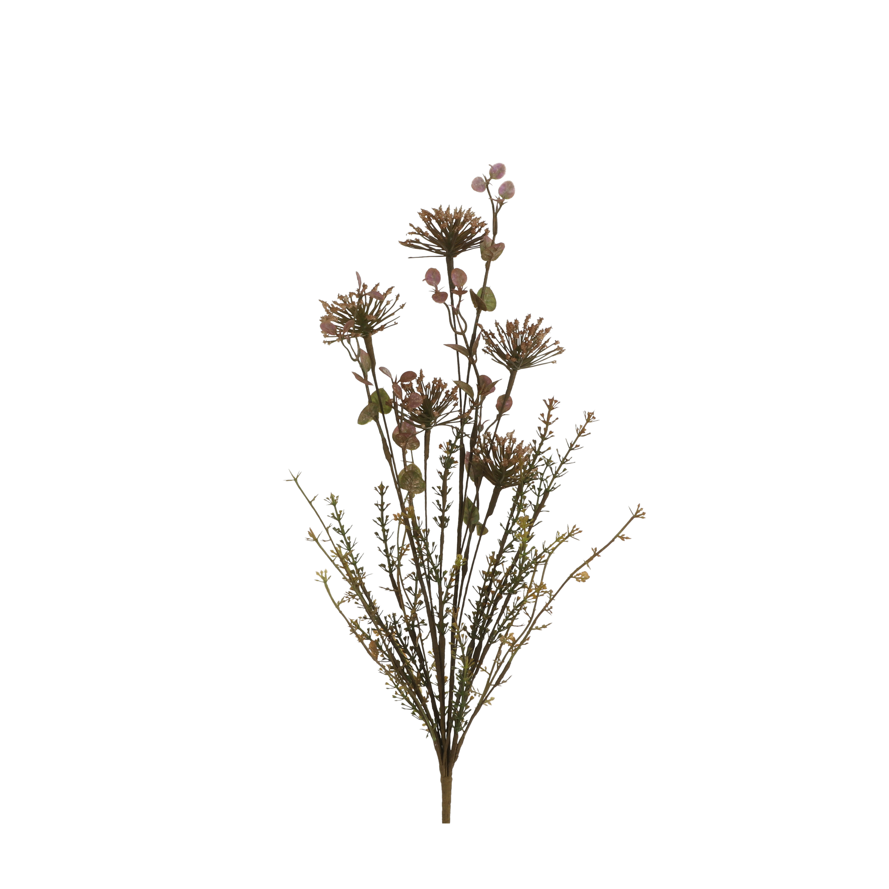 Dried-look Korenbloem bruin L51 D5