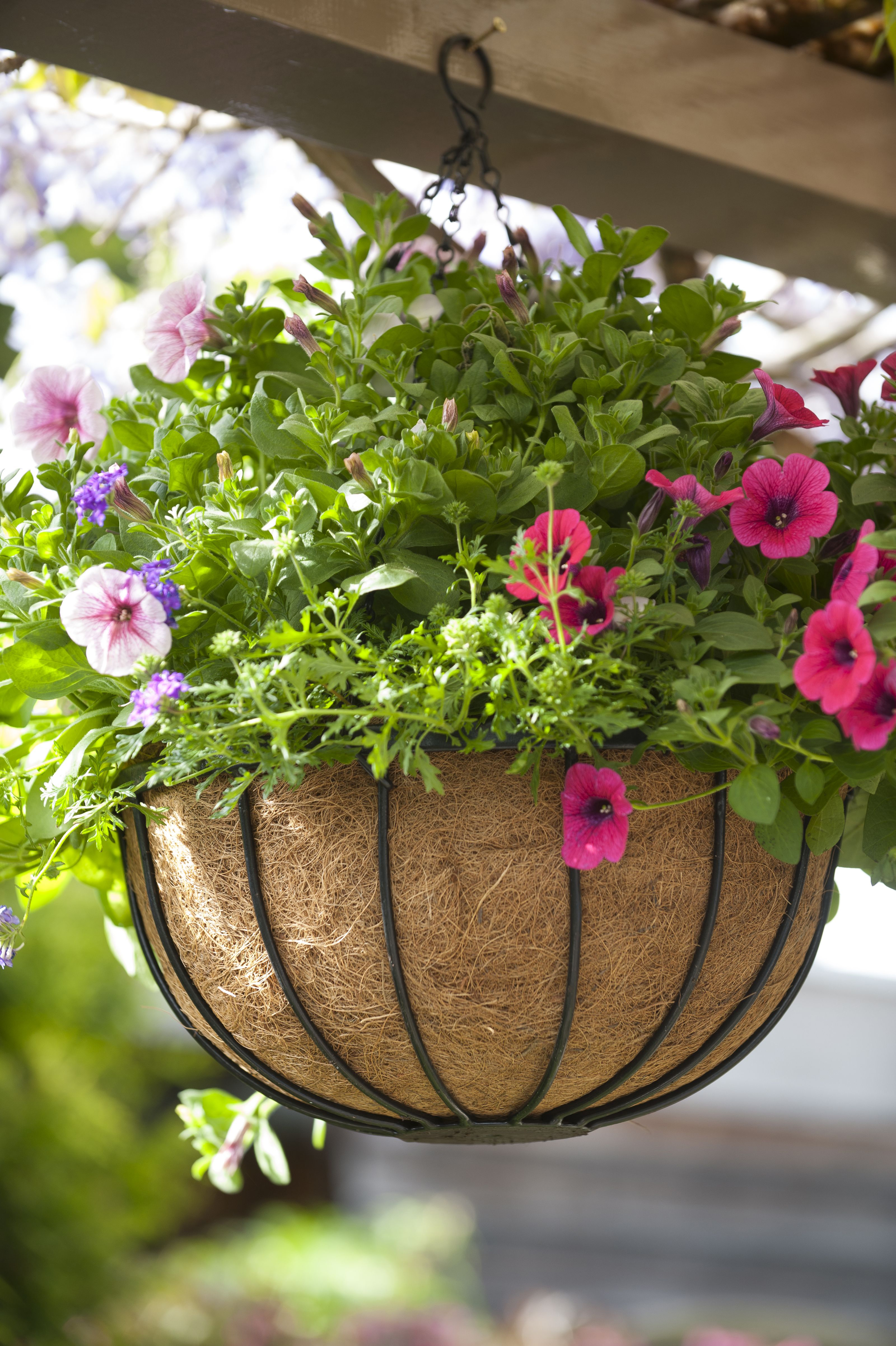 Hanging basket smeedijzer 35cm