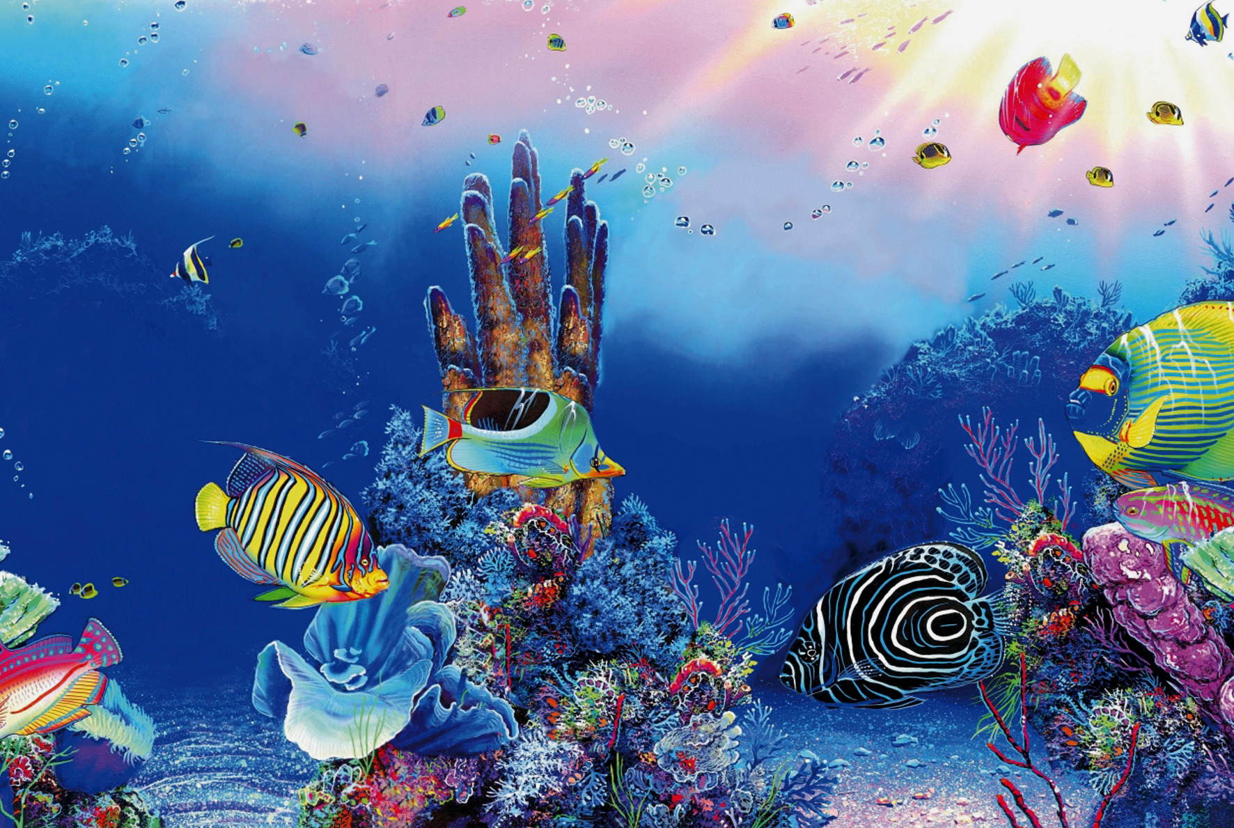 Deco Poster F2 60x49cm