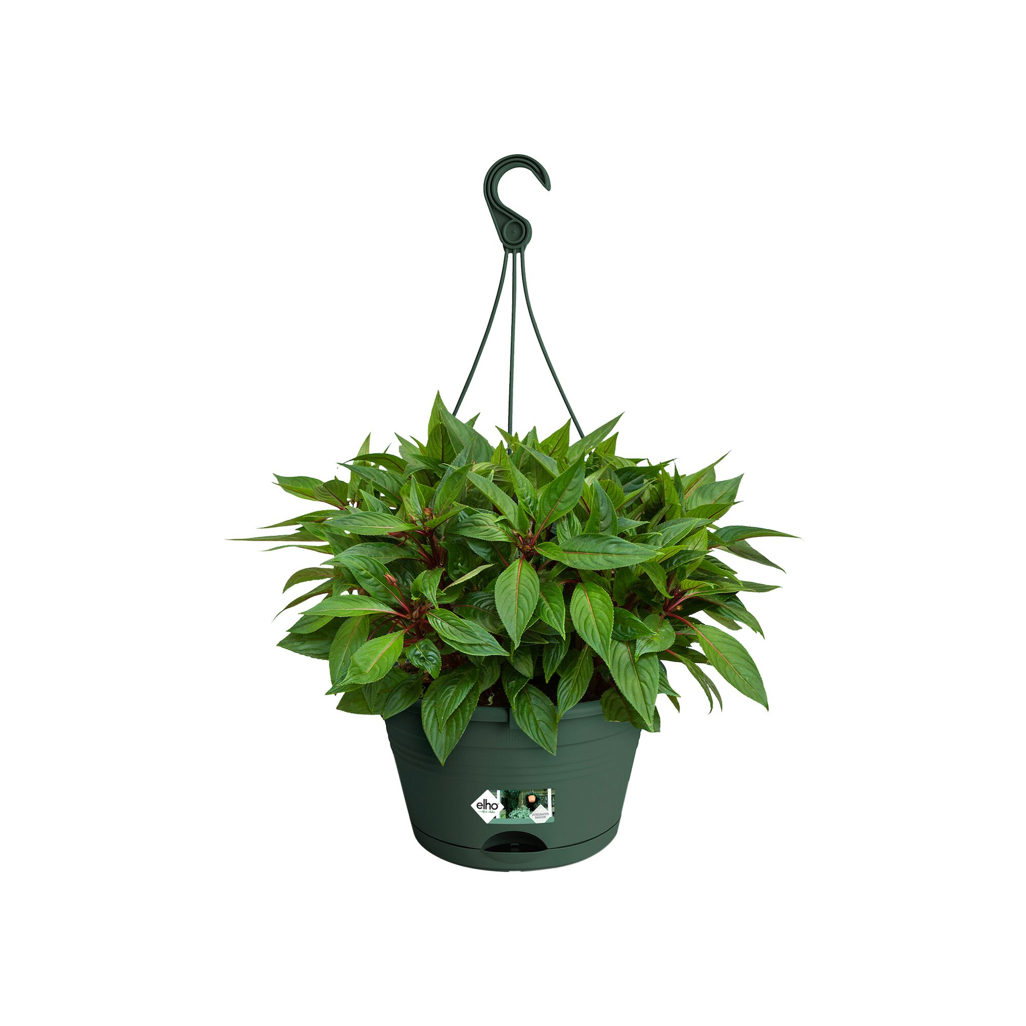Green Basics Hangschaal 28cm. bladgroen