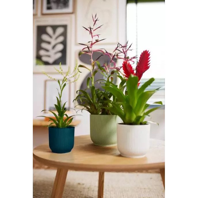 pot vibes fold d18cm sorbet groen