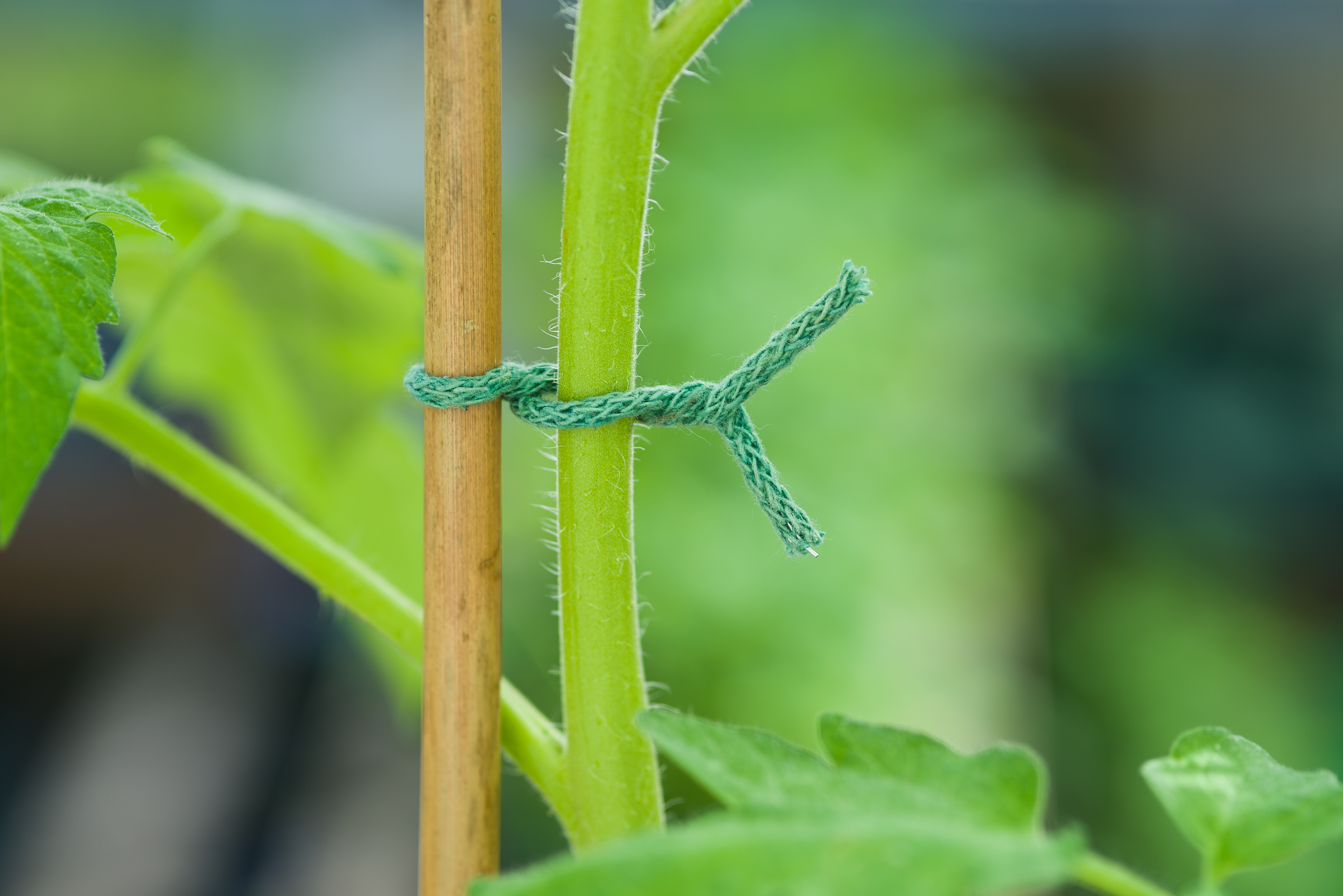 Jute Bindtouw met IJzeren Kern groen Ø2.75x5m
