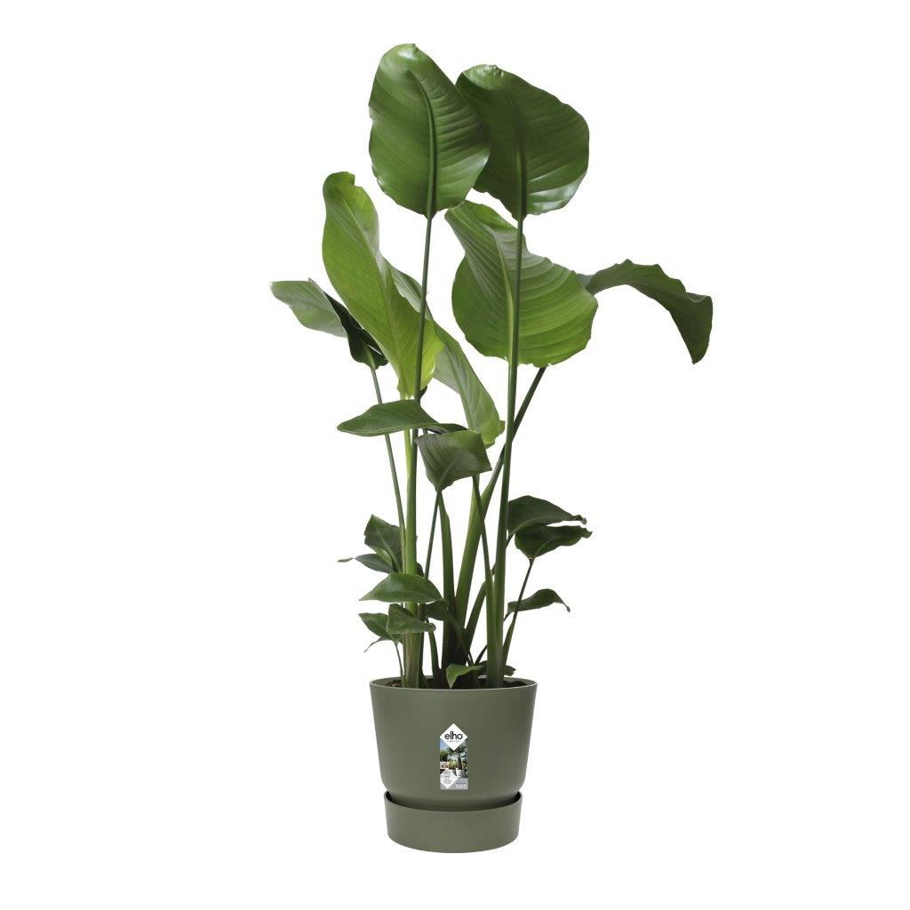pot greenville d30cm bladgroen