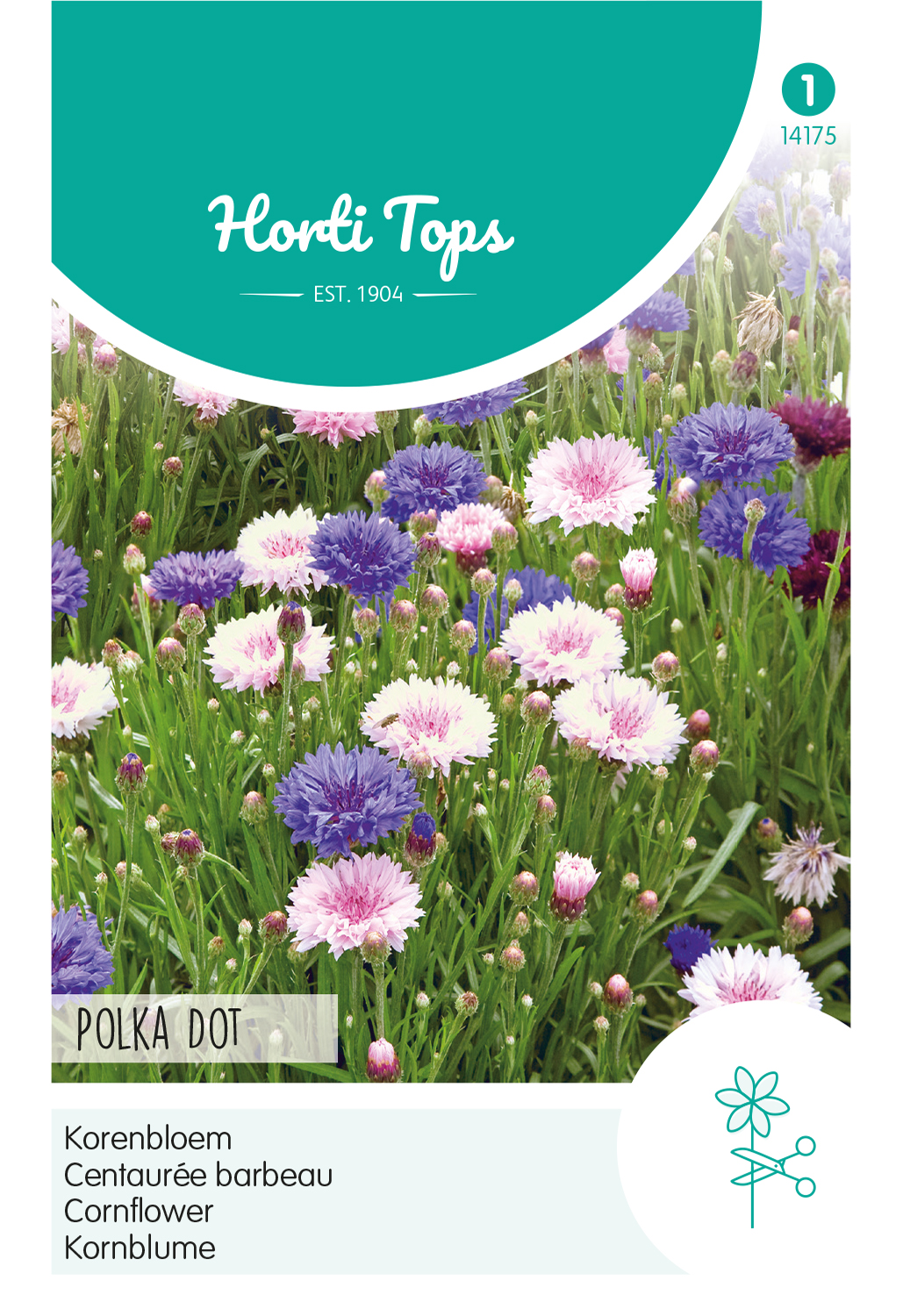 HT Centaurea, Korenbloem Polka Dot gemengd