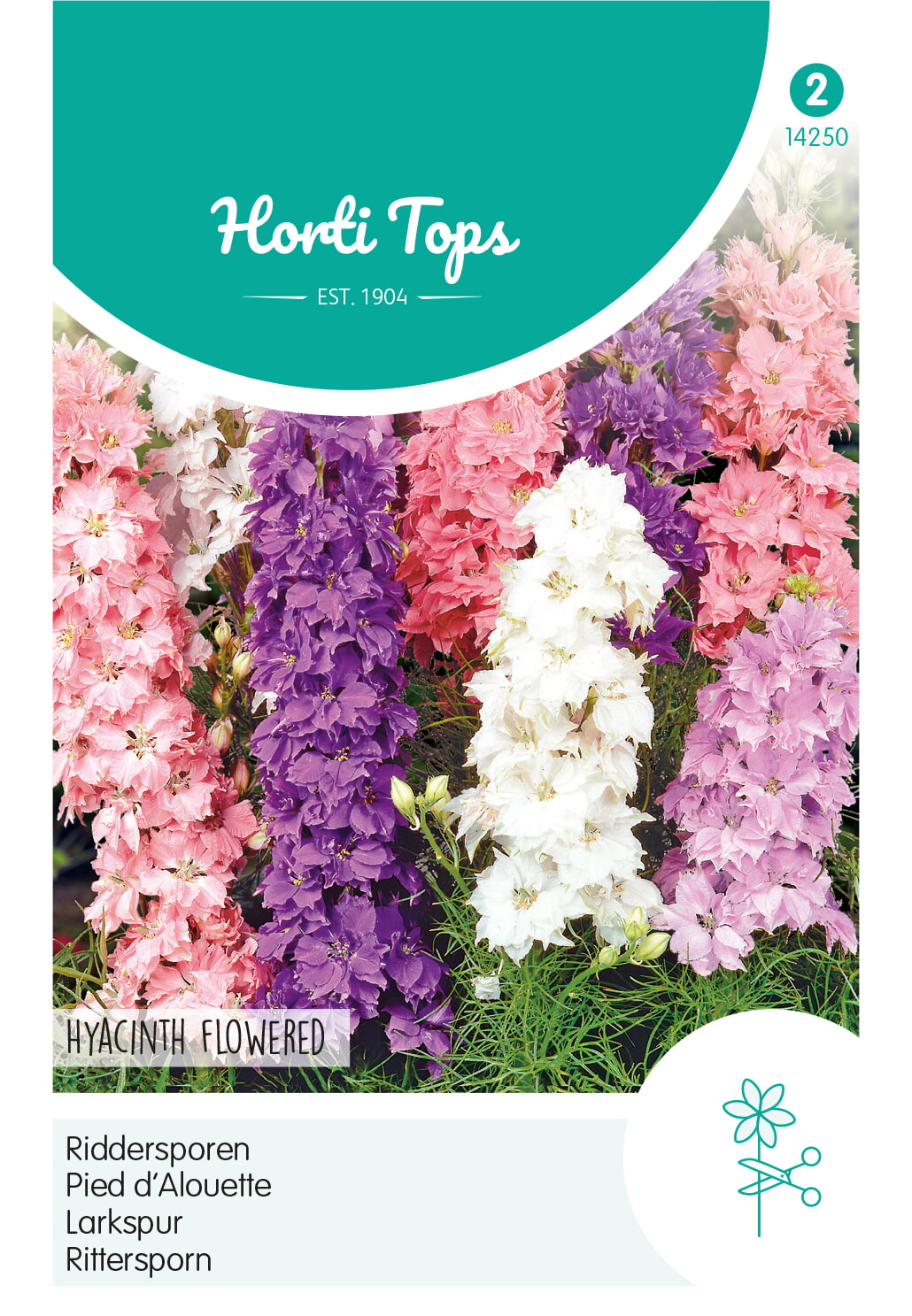 HT Delphinium, Ridderspoor Hyacinthbloemig gemengd