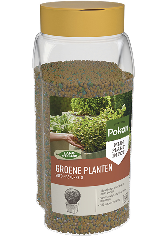 Pokon Groene Planten Voedingskorrels 800gr