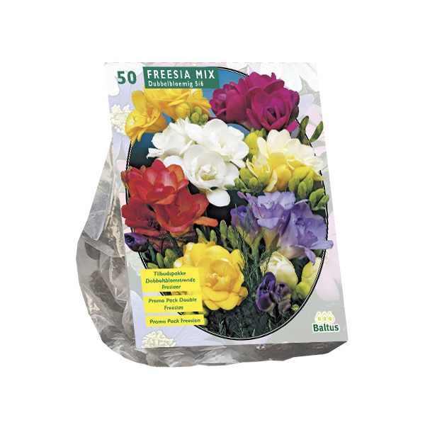 Freesia Double, Mix per 50