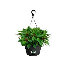 Green Basics Hangschaal 28cm. liv.black