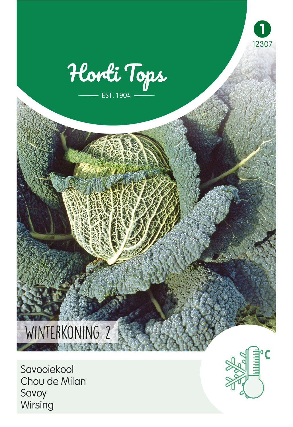 HT Savooiekool Winterkoning 2