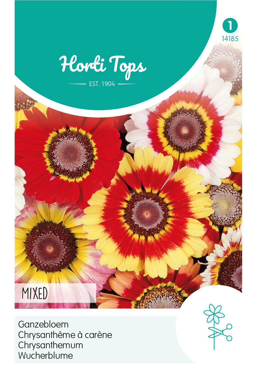 HT Chrysanthemum, Ganzebloem gemengd