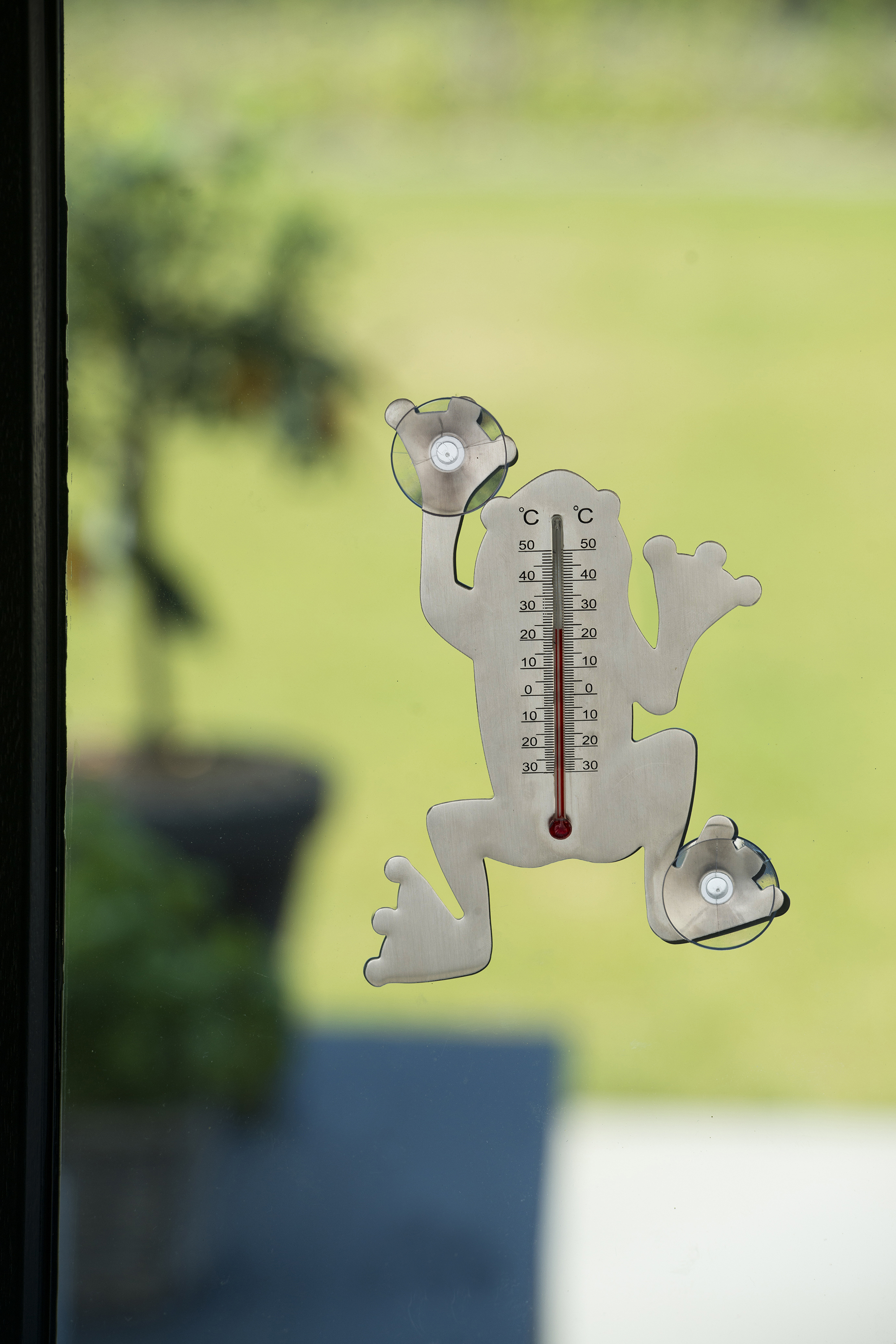 Muurthermometer Metaal met Zuignappen Kikker grijs