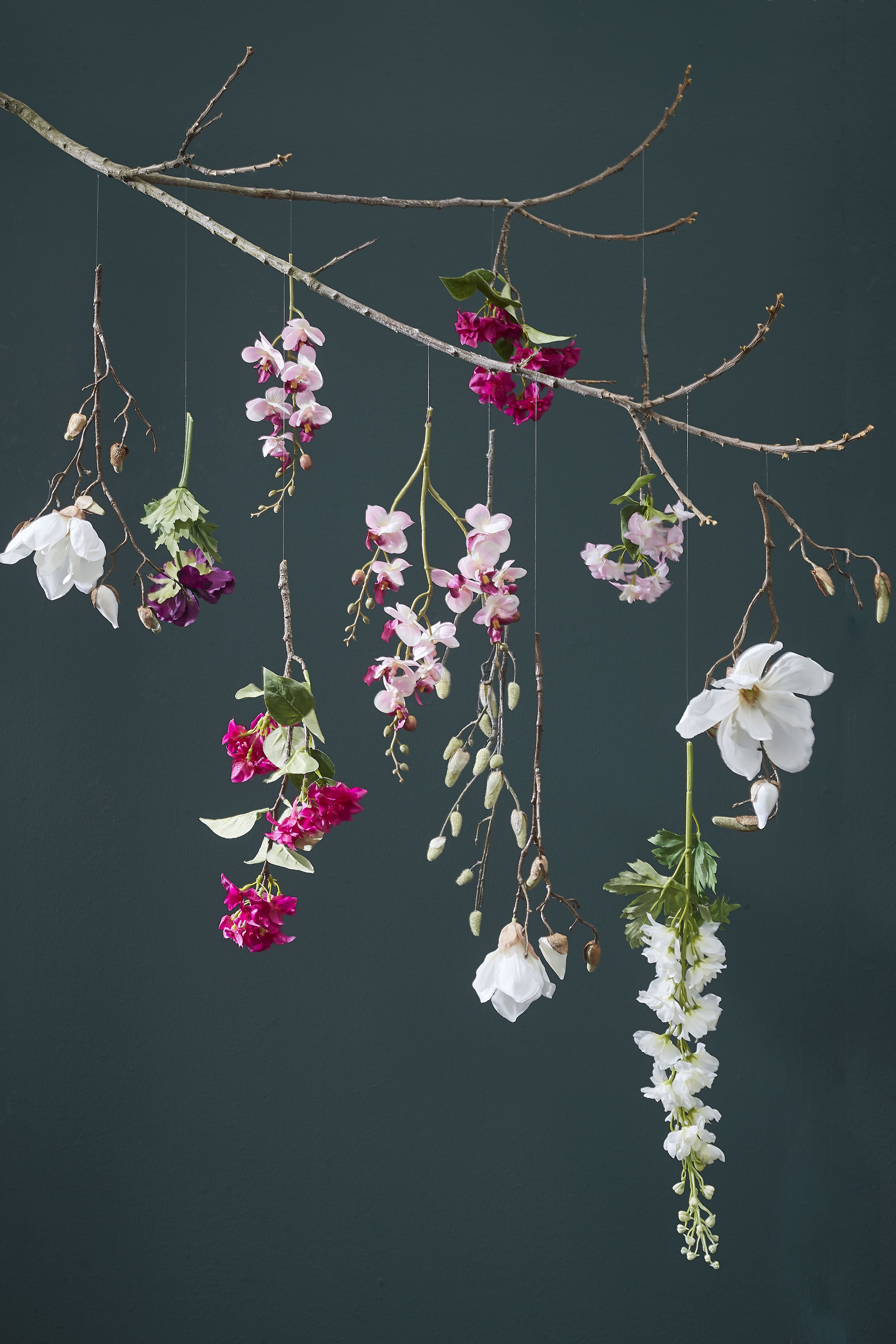 Delphinium white L78