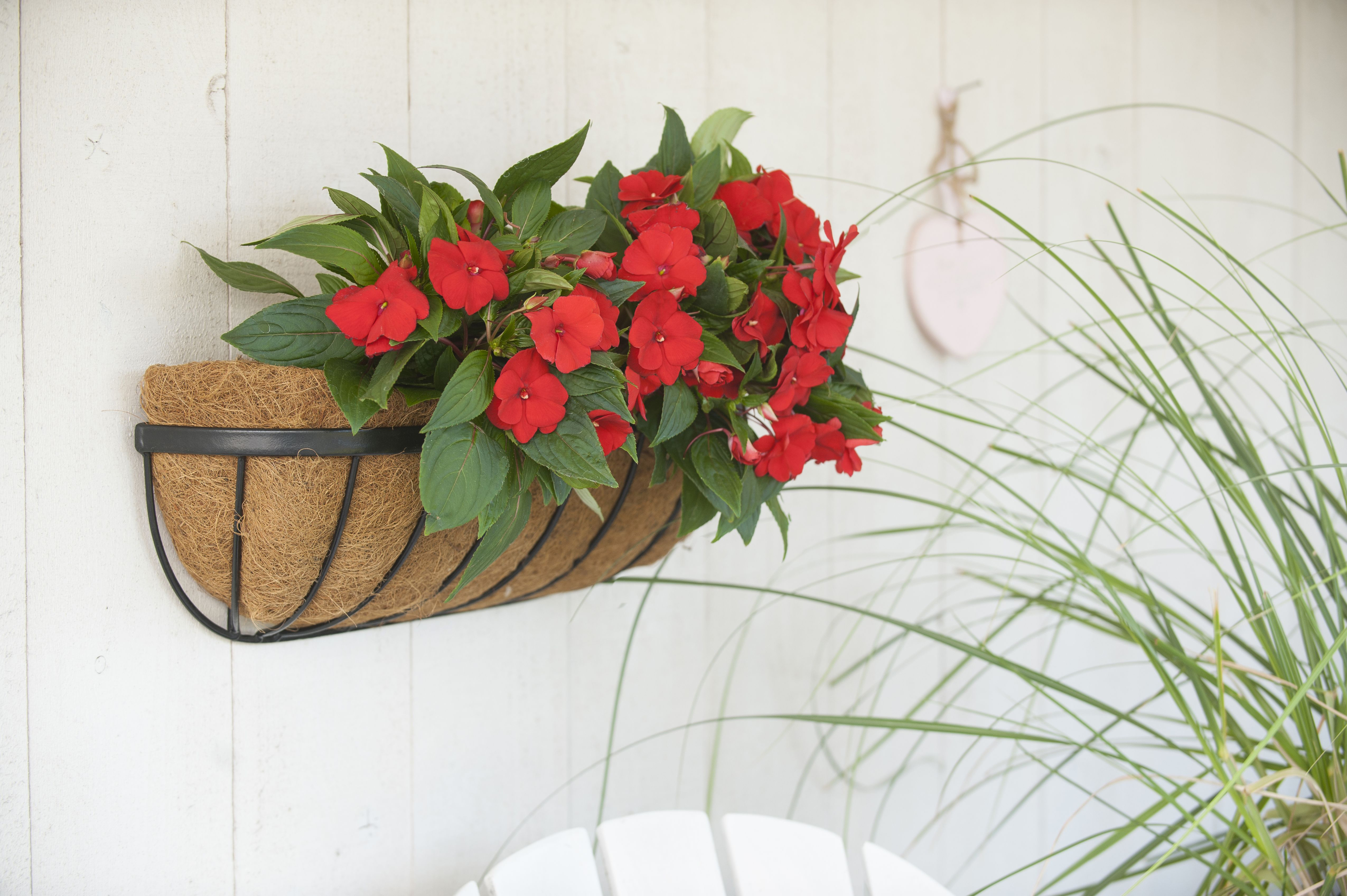 Hanging Basket Smeedijzer zwart H16.5x61x16cm