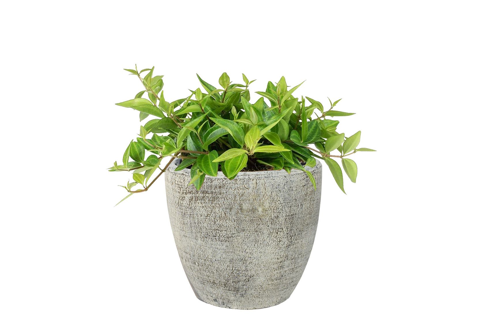 Pot Anne white earth D16 H15