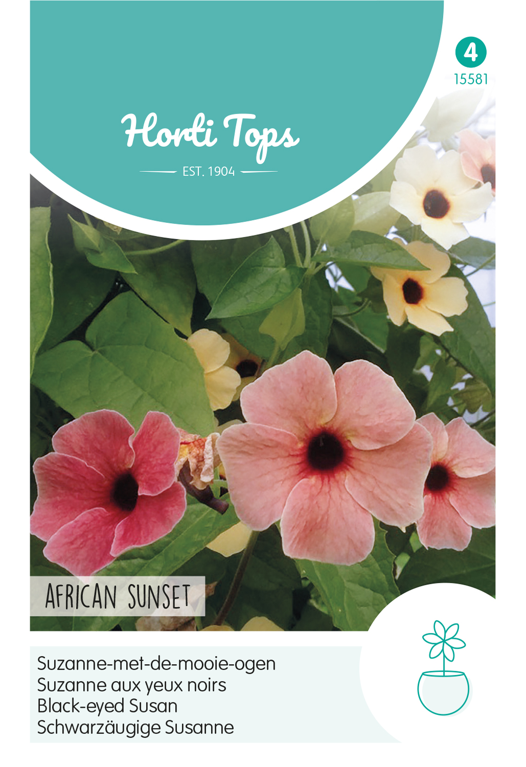 HTS Thunbergia, Suzanne-met-de-mooie-ogen African Sunset