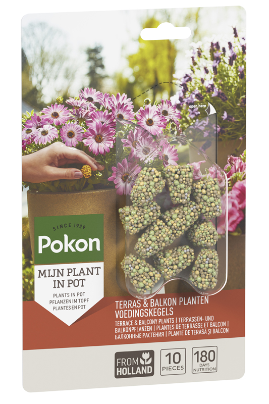Pokon Terras & Balkon Planten Langwerkende Voedingskegels 10 stuks