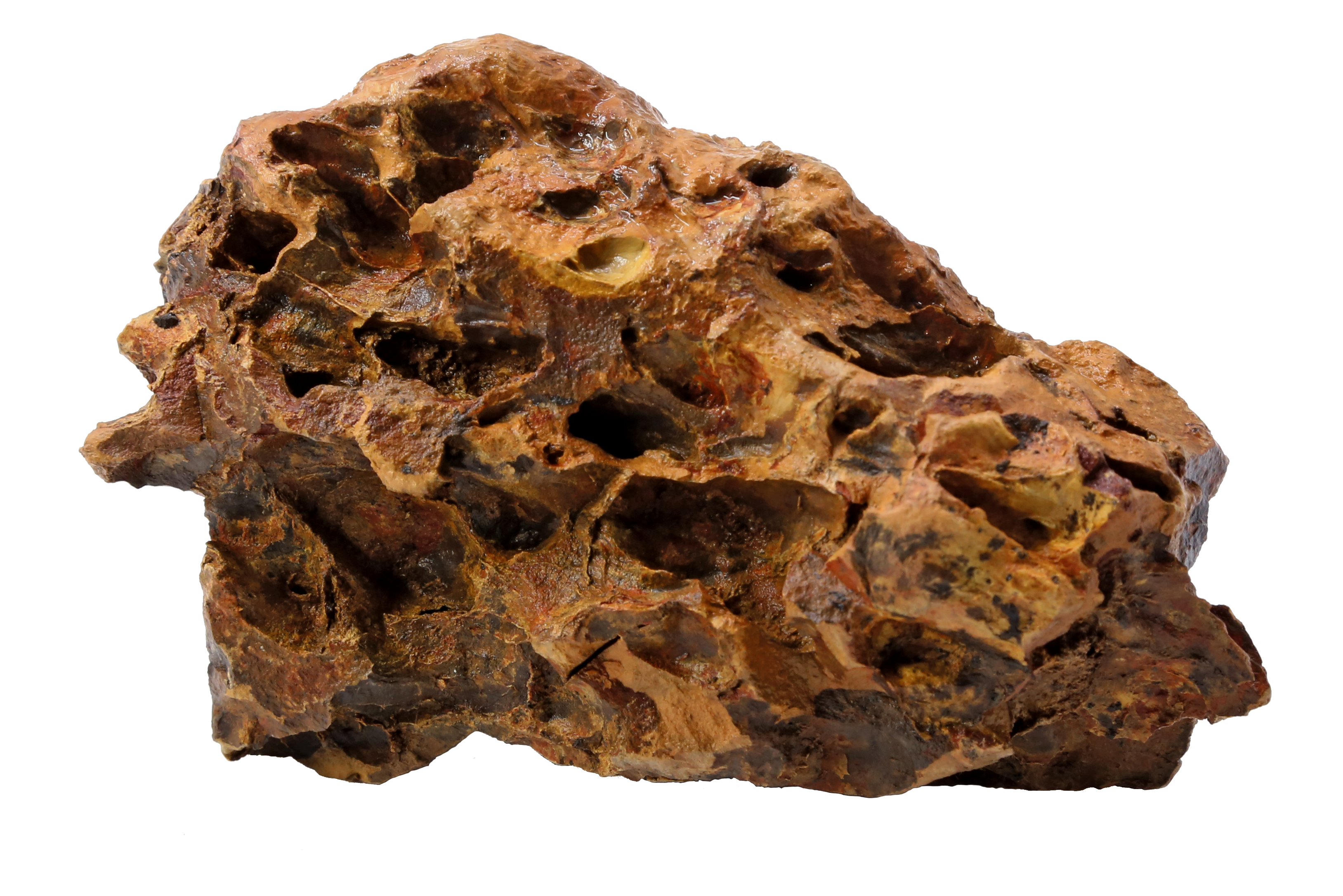 Aquascape Dragon Rock