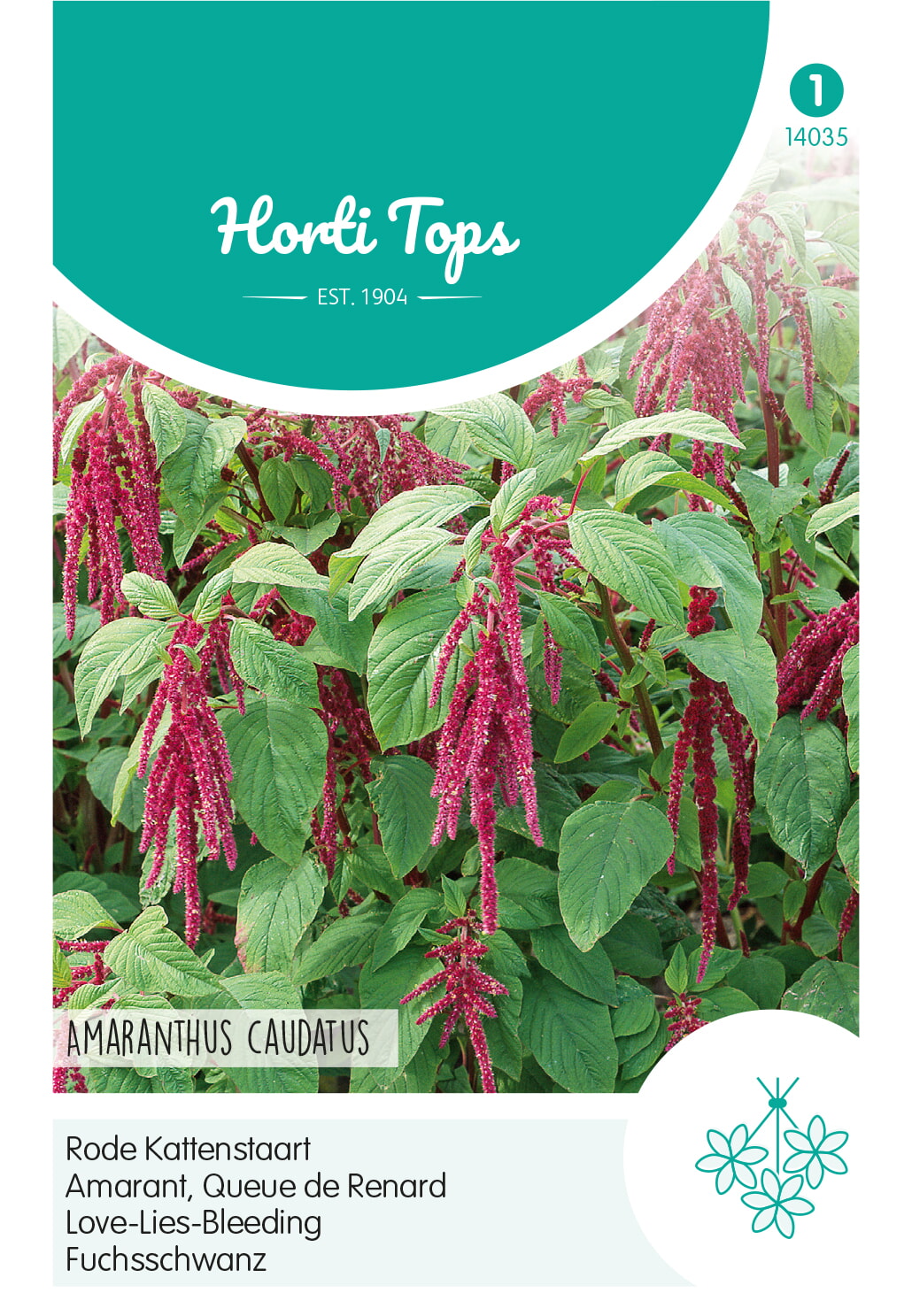 HT Amaranthus, Rode Kattenstaart