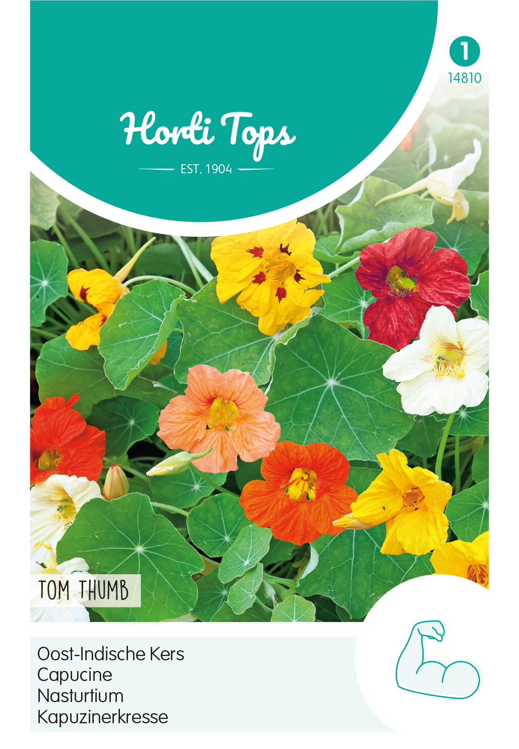 HT Tropaeolum, Oost-Indische Kers Tom Thumb