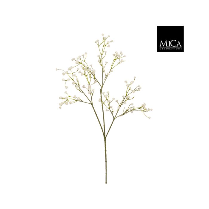 Gypsophila cream - l60cm