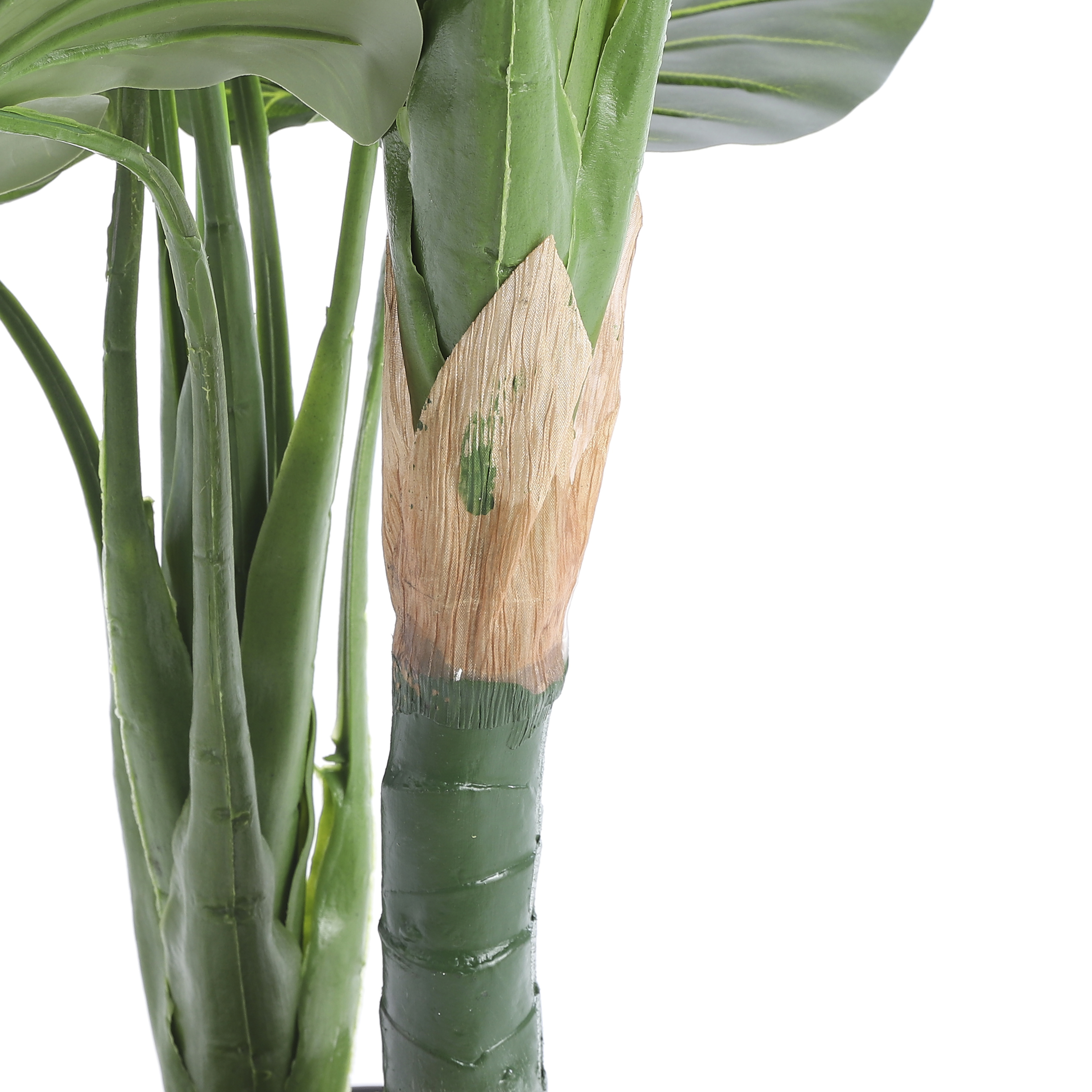 Taro in Plastic Pot groen H90 D60