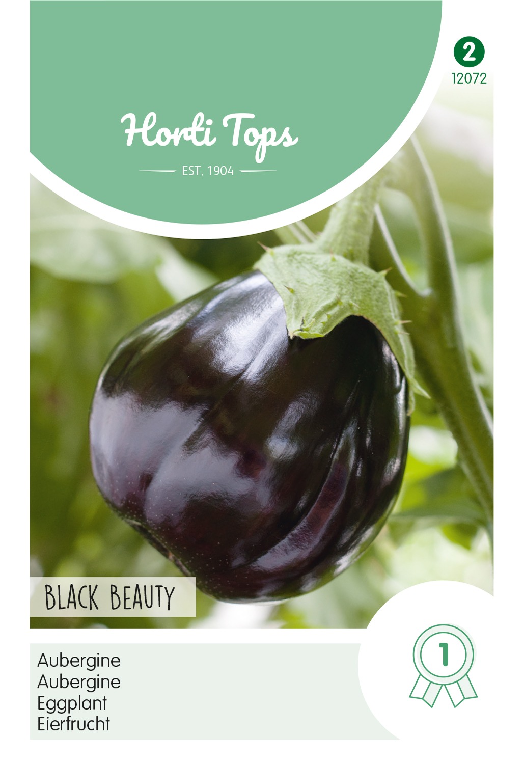HT Aubergine Black Beauty