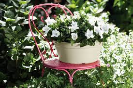 Green Basics Schaal 33cm katoen wit