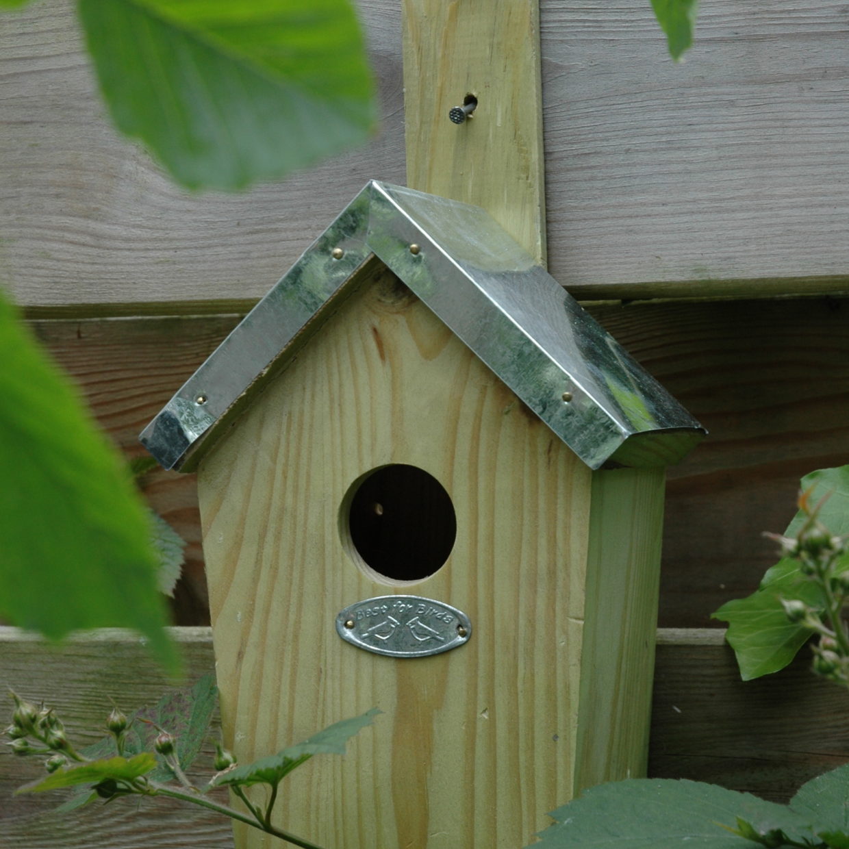 Nestkast winterkoning groen