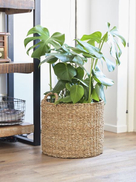 Pot Joris naturel D38 H33