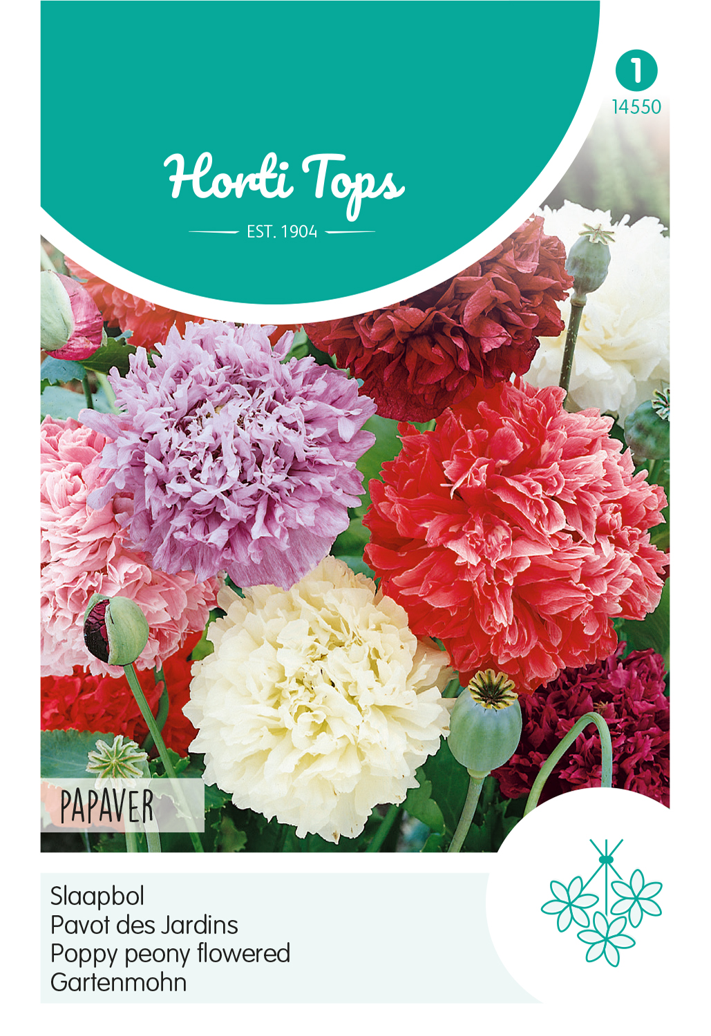 HT Papaver, Slaapbol gemengd
