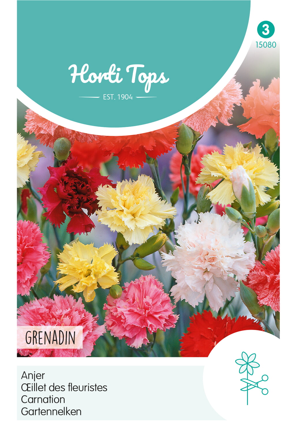 HT Dianthus, Anjer Grenadin gemengd
