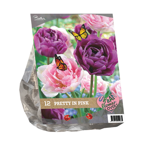 Urban Flowers - Pretty in Pink per 12