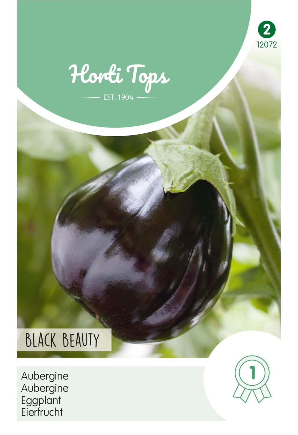 HT Aubergine Black Beauty