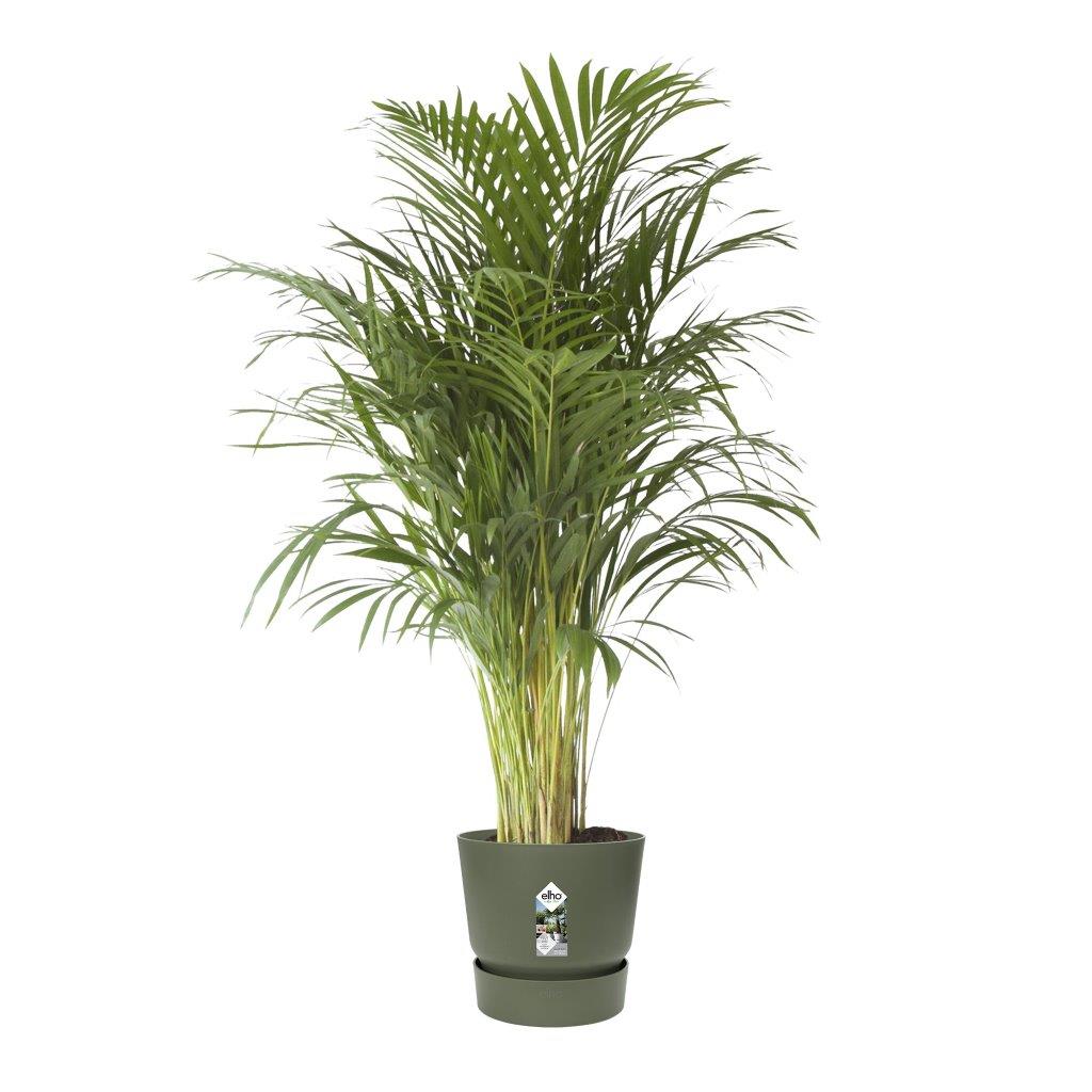 greenville round 40cm blad groen