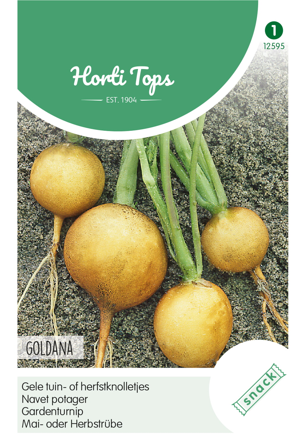 HT Gele tuin- of herfstknolletjes Goldana