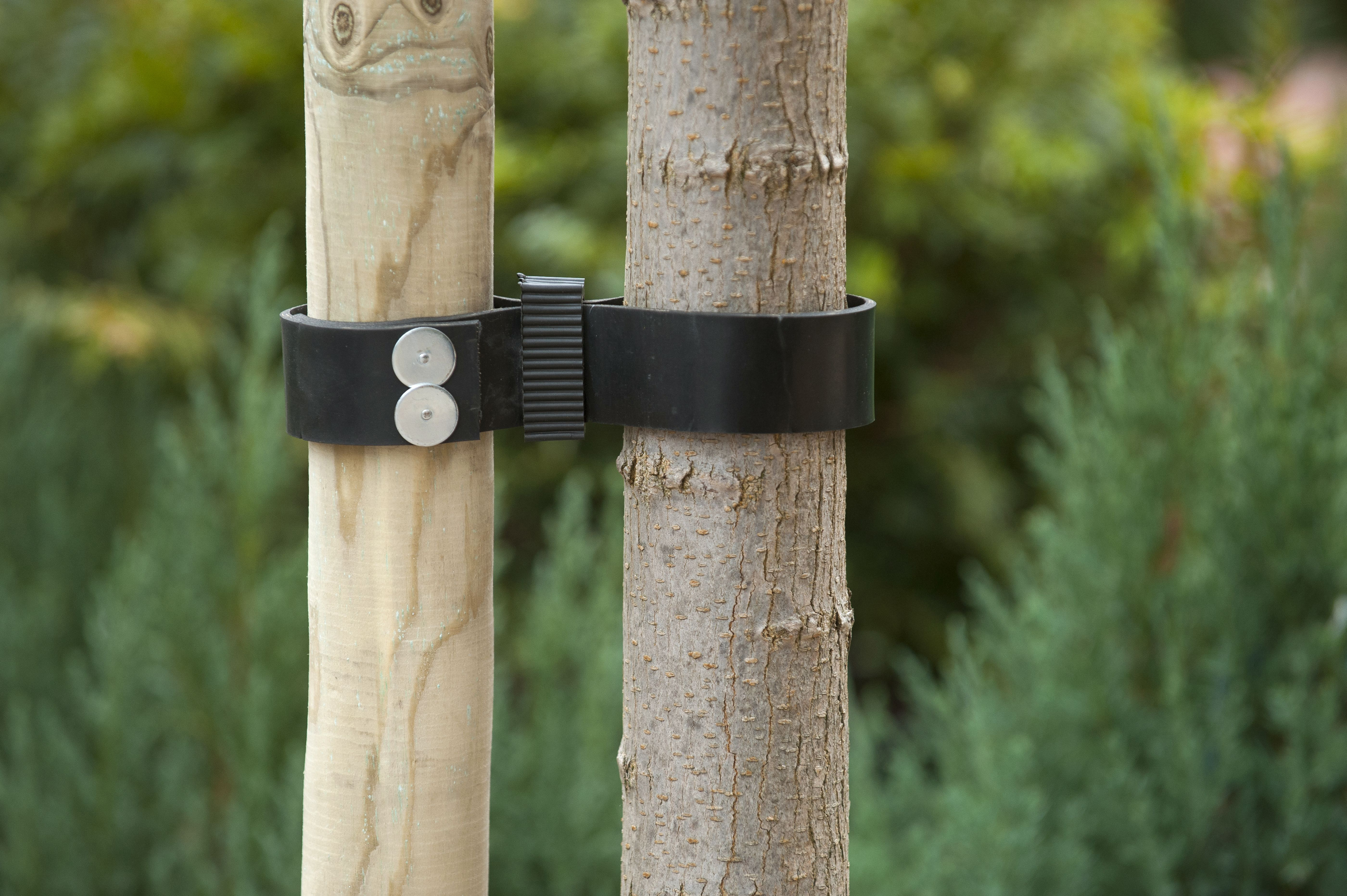 Spijkerboomband breed L90 B3.8