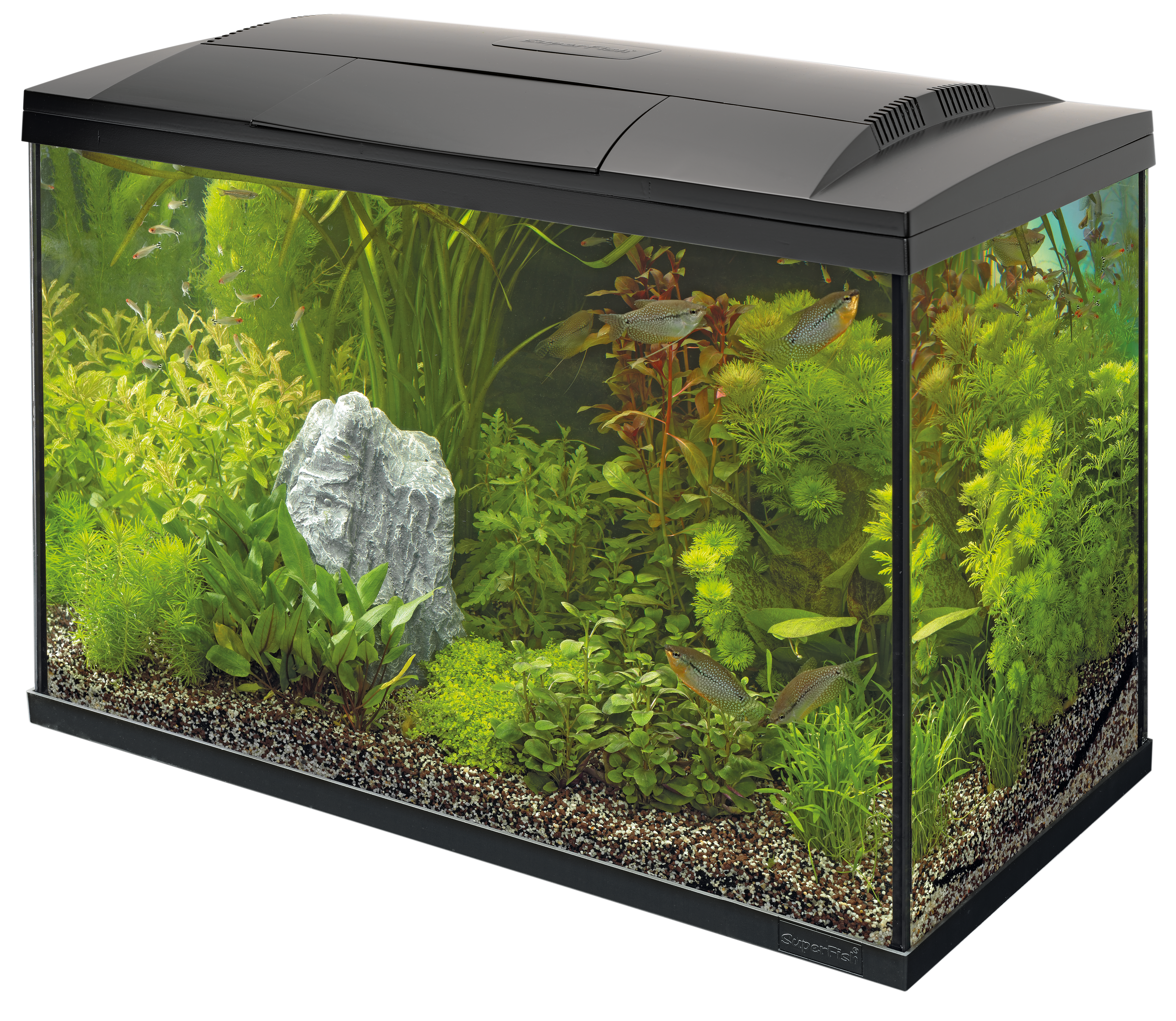 Start 100 Tropical Kit Zwart