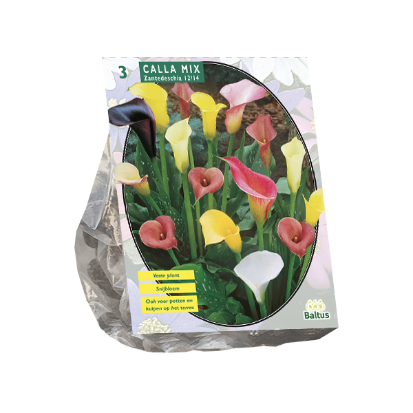 Calla Zantedeschia Gemengd per 3