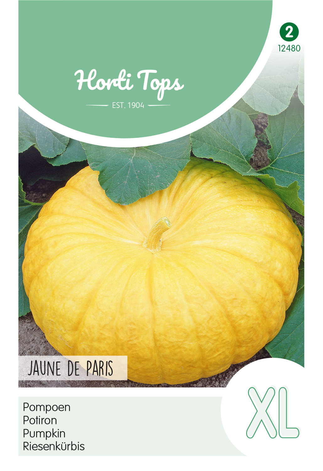 HT Pompoen Jaune de Paris