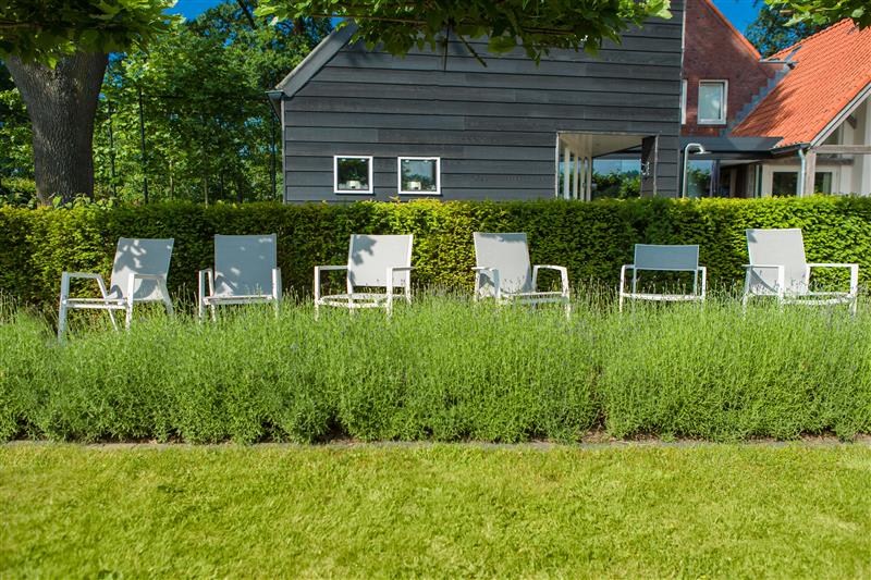 Aruba Dining Chair wit