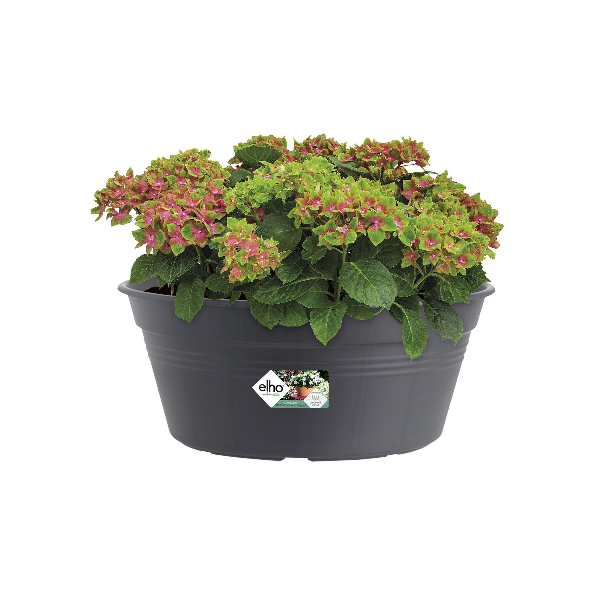 green basics schaal 33cm living black