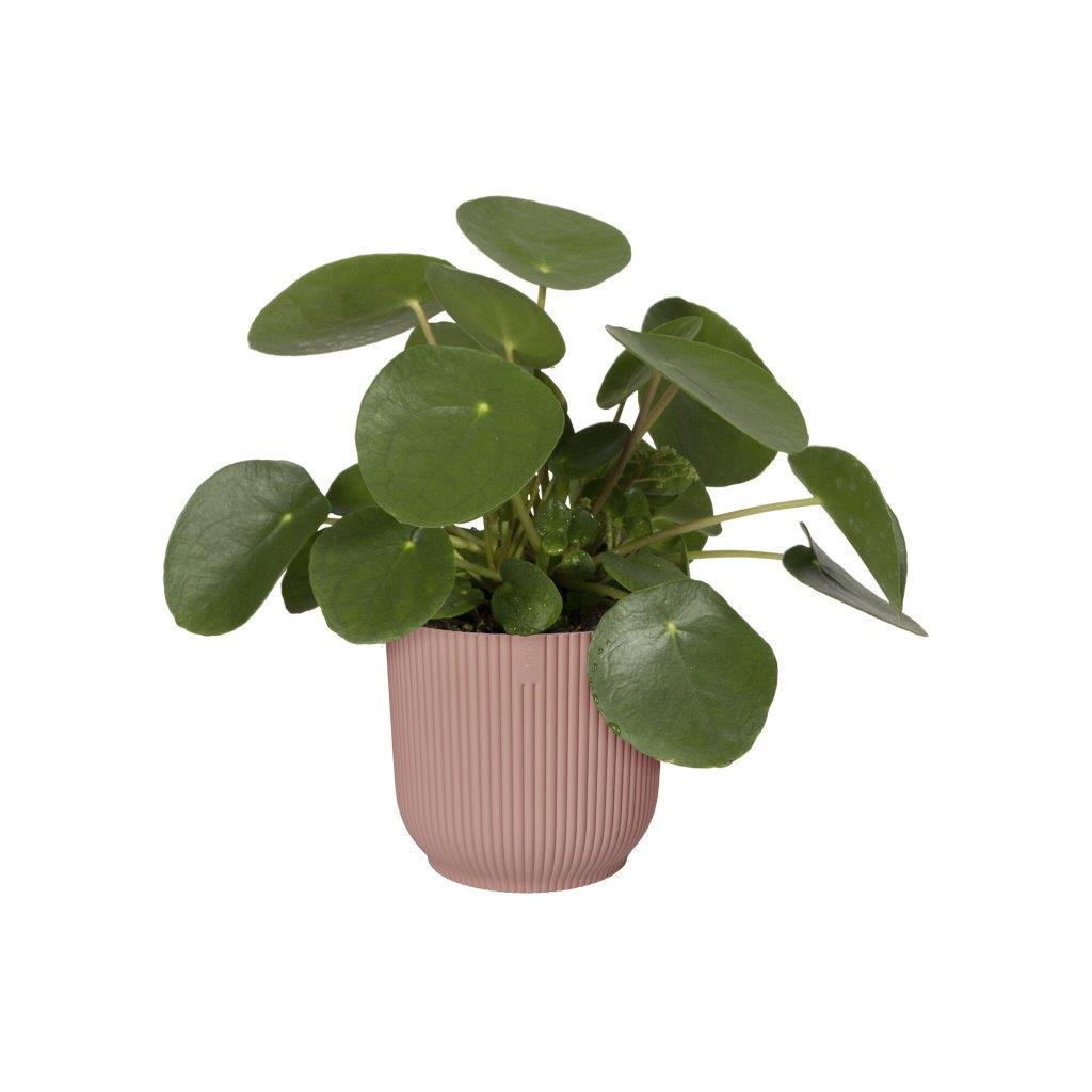 pot vibes fold d16cm delicate roze