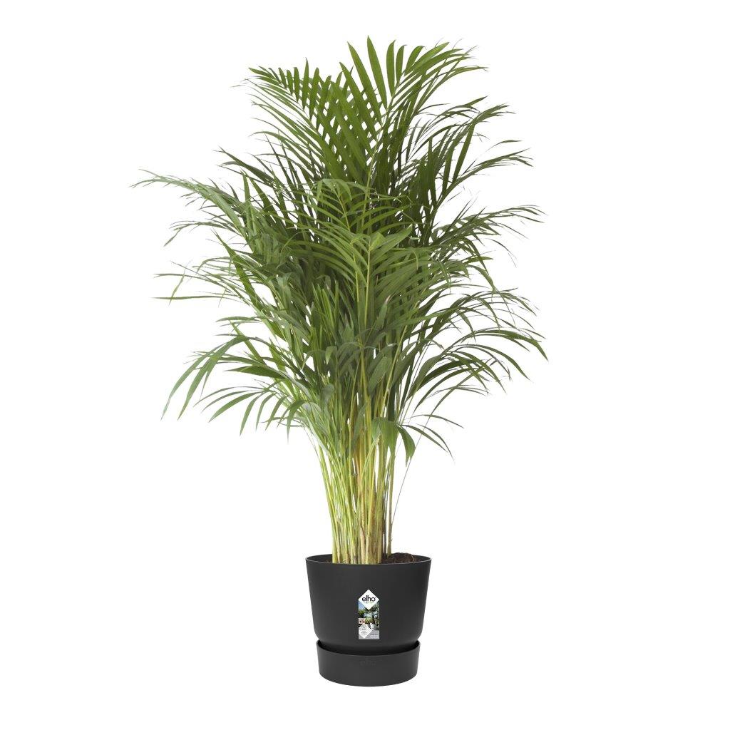 greenville round 40cm living black