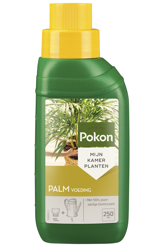 Pokon Palm Voeding 250ml