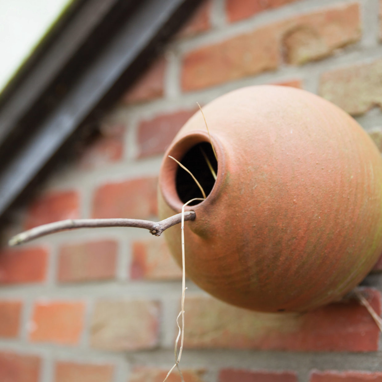 Vogelpot kruik mezen en mussen